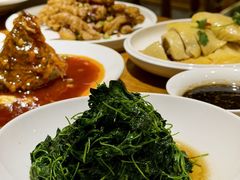 -沪上馨和小馆•海派上海菜(陆家浜路店)