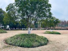 -长广溪湿地公园