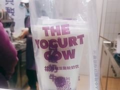 -一只酸奶牛(八一路店)