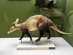 -国家自然博物馆