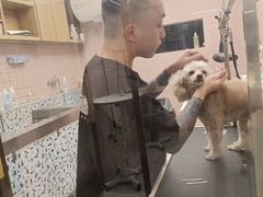 -FAELING PETS美天灵宠物(富力广场店)