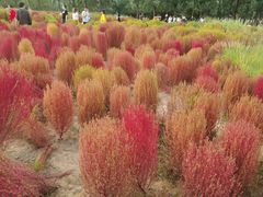 -汉长安城未央宫国家考古遗址公园