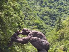 -神农架景区