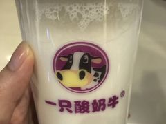 -一只酸奶牛(八一路店)
