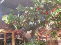 -草原塞蛮羊火锅城(港湾店)