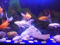 -宜昌富力皇冠假日酒店·咖啡1号西餐厅