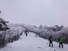 -安吉龙王山风景区