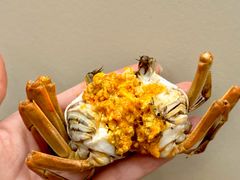 -蟹天蟹地农家菜·阳澄湖大闸蟹(浅水湾店)