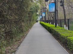 -西安汉城湖景区