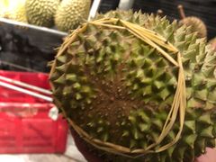 -都念榴莲·城市榴莲