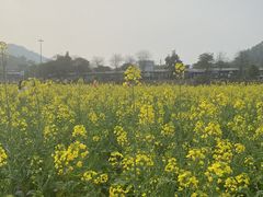 -红山村