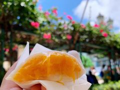 -澳门长洲糯米糍(柯打苏沙街店)