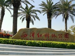 -宝安西湾红树林湿地公园