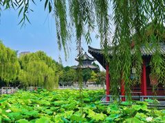 -济南大明湖景区