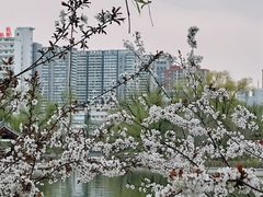 -迎泽公园