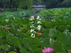 -皇家御河游(紫御湾码头)