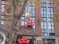 -弗兰克牛排西餐厅Ribone steak house(柠檬花园店)