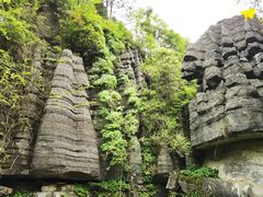 -梭布垭石林景区