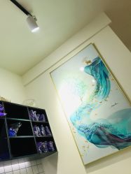 -CE·专业蛋白•羽毛接发·潮色烫染品牌店