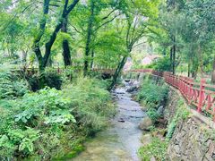 -素山寺森林公园