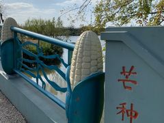 -上海长兴岛郊野公园