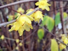 -UNI UNI(环亚凯瑟琳店)