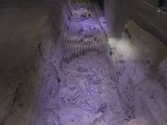 -汉景帝阳陵博物院
