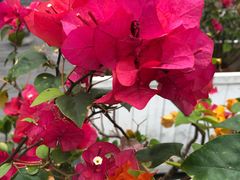 -海口骑楼小吃街