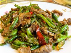 尖椒拆骨肉（开胃下酒）-石老头关东饺子王·东北菜(嘉华鑫城店)