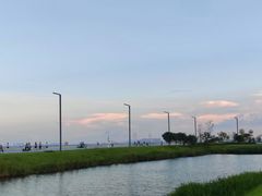 -滨海公园