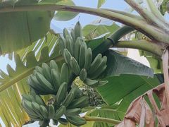 -云溪植物园