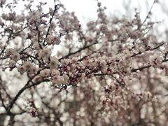 -千纸鹤嫩汁烤肉(学府店)