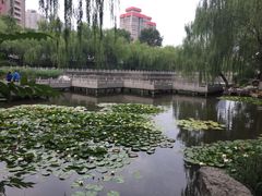 -文瀛公园