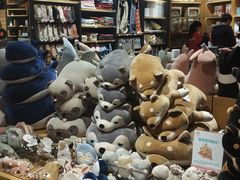 -九木杂物社(中心店)