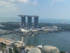 -新加坡瑞士史丹福酒店