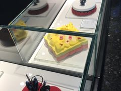 -BLACKSWAN黑天鹅(环球店)