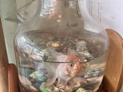 -昼夜咖啡馆