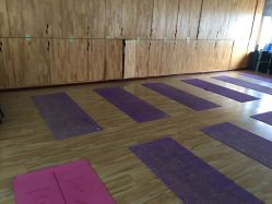 点击看大图 -龙蝉瑜伽