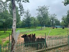 -秦皇岛野生动物园