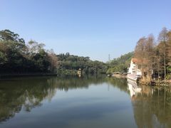 -深圳仙湖植物园