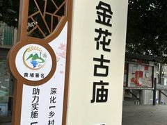 -长洲岛