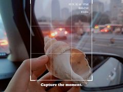 -青石桥花鸟鱼虫市场(叠翠城店)