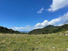 -白草畔自然风景区