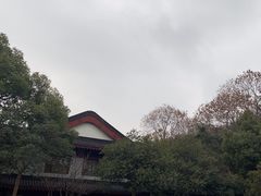 -雷峰塔景区