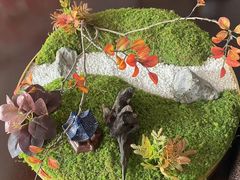 -美滋每客(亲贤北街店)