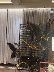 -RUMI日弥美容会所