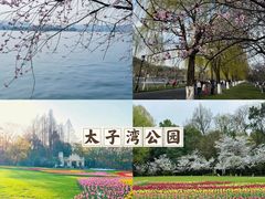 -杭州植物园