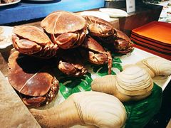 -蓝钻·国际美食海鲜自助百汇(西直门店)