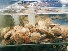 -雅逸居海鲜小厨