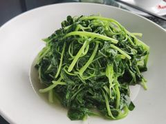 -茗醉园茶楼